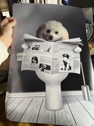 Customer photo review of Prio+