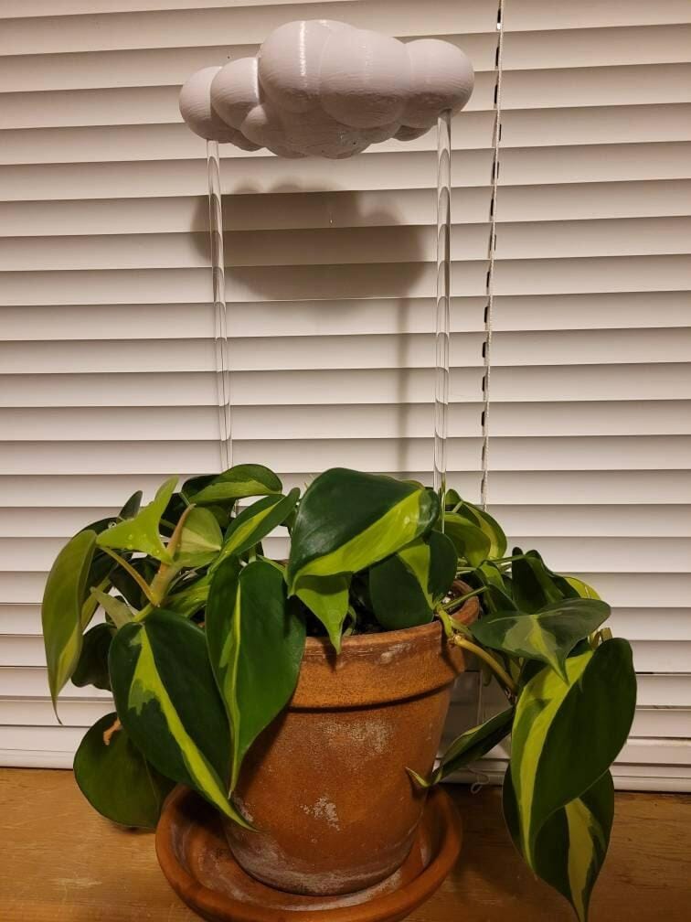 Customer photo review of Original Dripping Rain Cloud