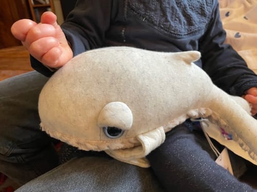 Customer photo review of The Mini Whale