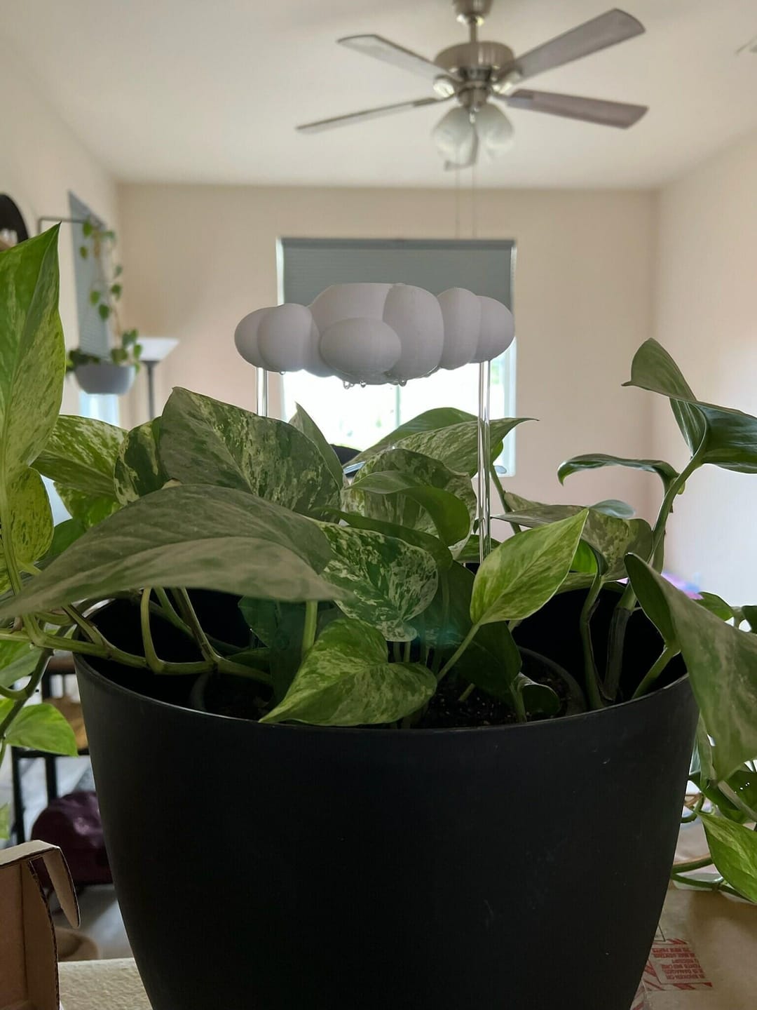 Customer photo review of Original Dripping Rain Cloud