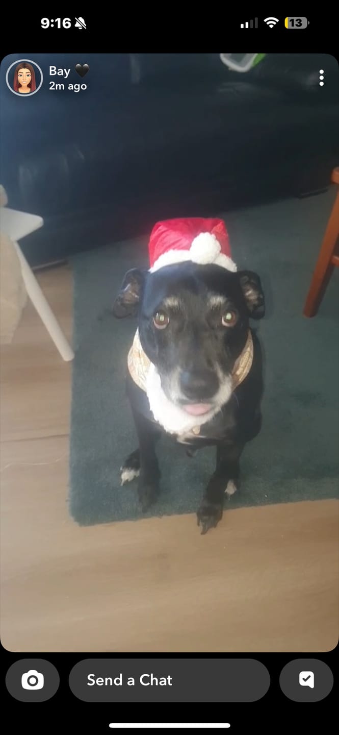 Customer photo review of Christmas Bandana - Organic Cotton
