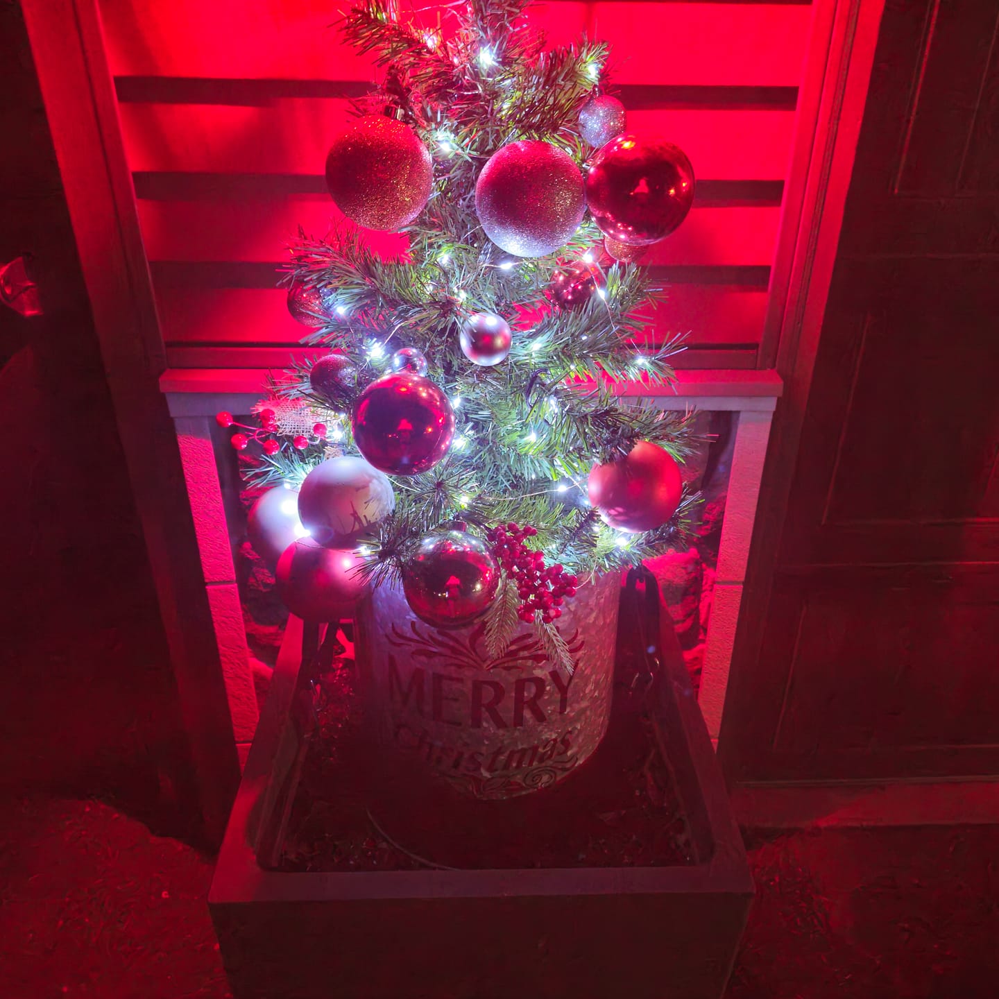 Customer photo review of BLOWOUT 33 FT | 100 Cool White LED Waterproof Micro Fairy String Lights with AC Plug-In Power