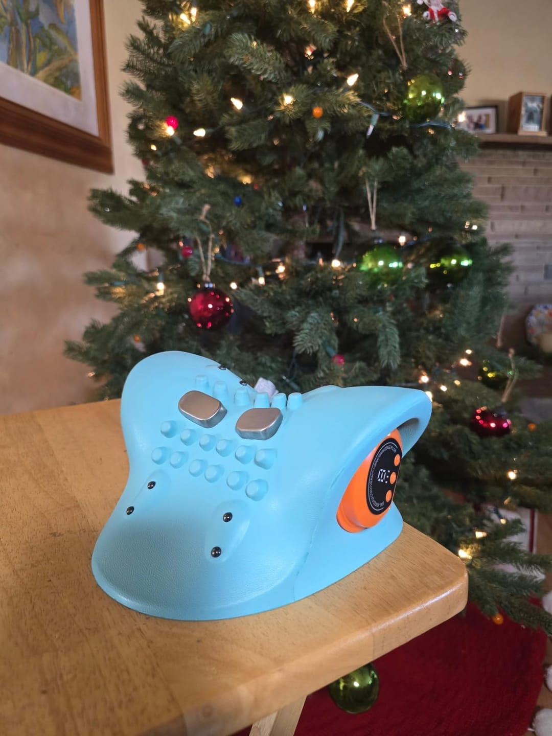 Customer photo review of FisioRest Pro