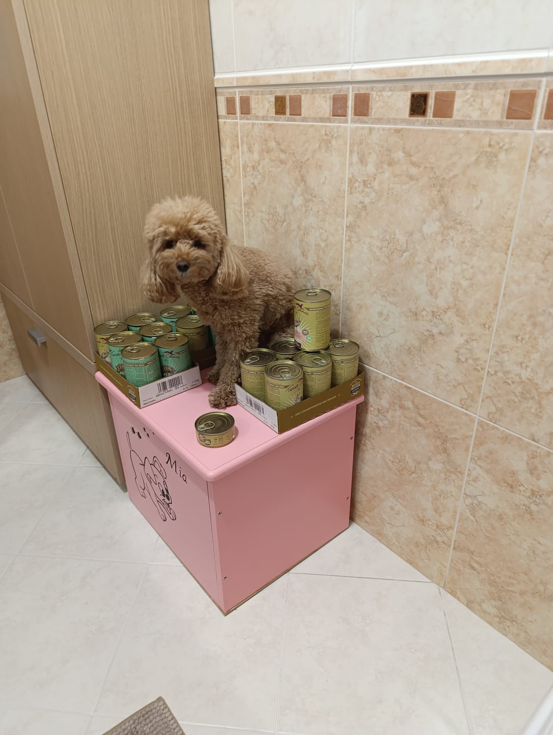 Customer photo review of Terra Canis Dog Classic 400g