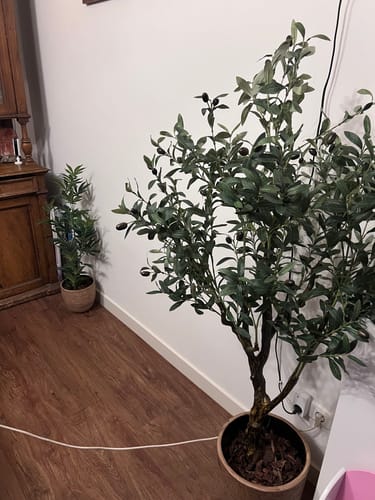 Customer photo review of Kunst Olijfboom 150cm