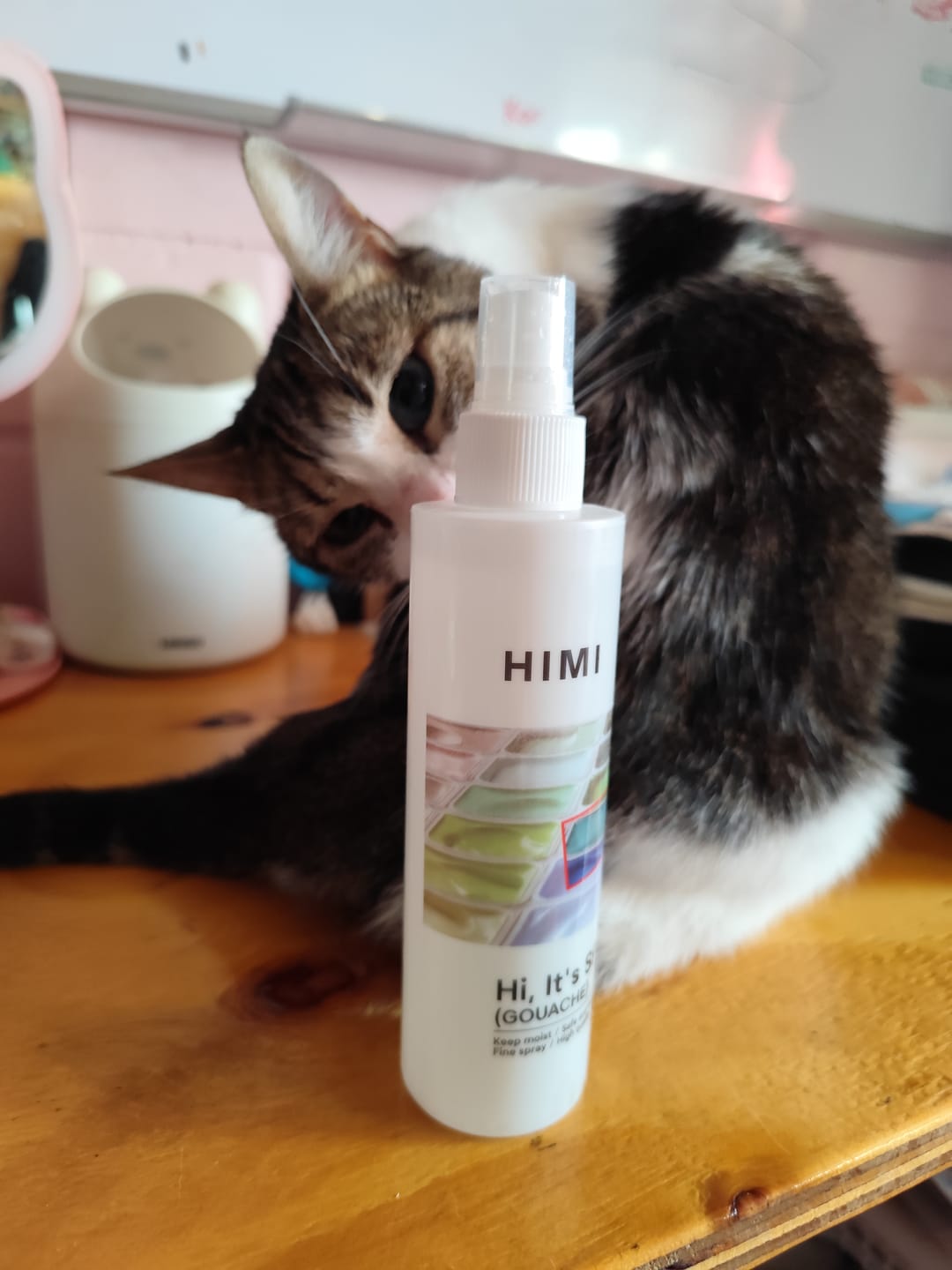 Customer photo review of Himi - Spray Protector Antihongos e Hidratador Para Gouache y Acrílicos