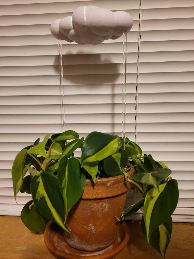 Customer photo review of Original Dripping Rain Cloud