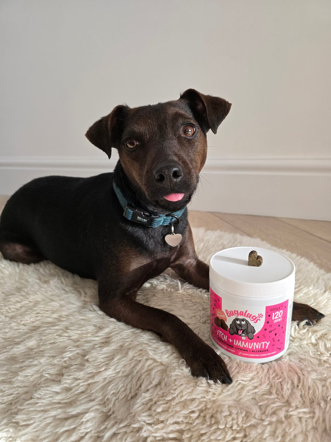 Customer photo review of Itch + Immunity Supplement Chews for Dogs