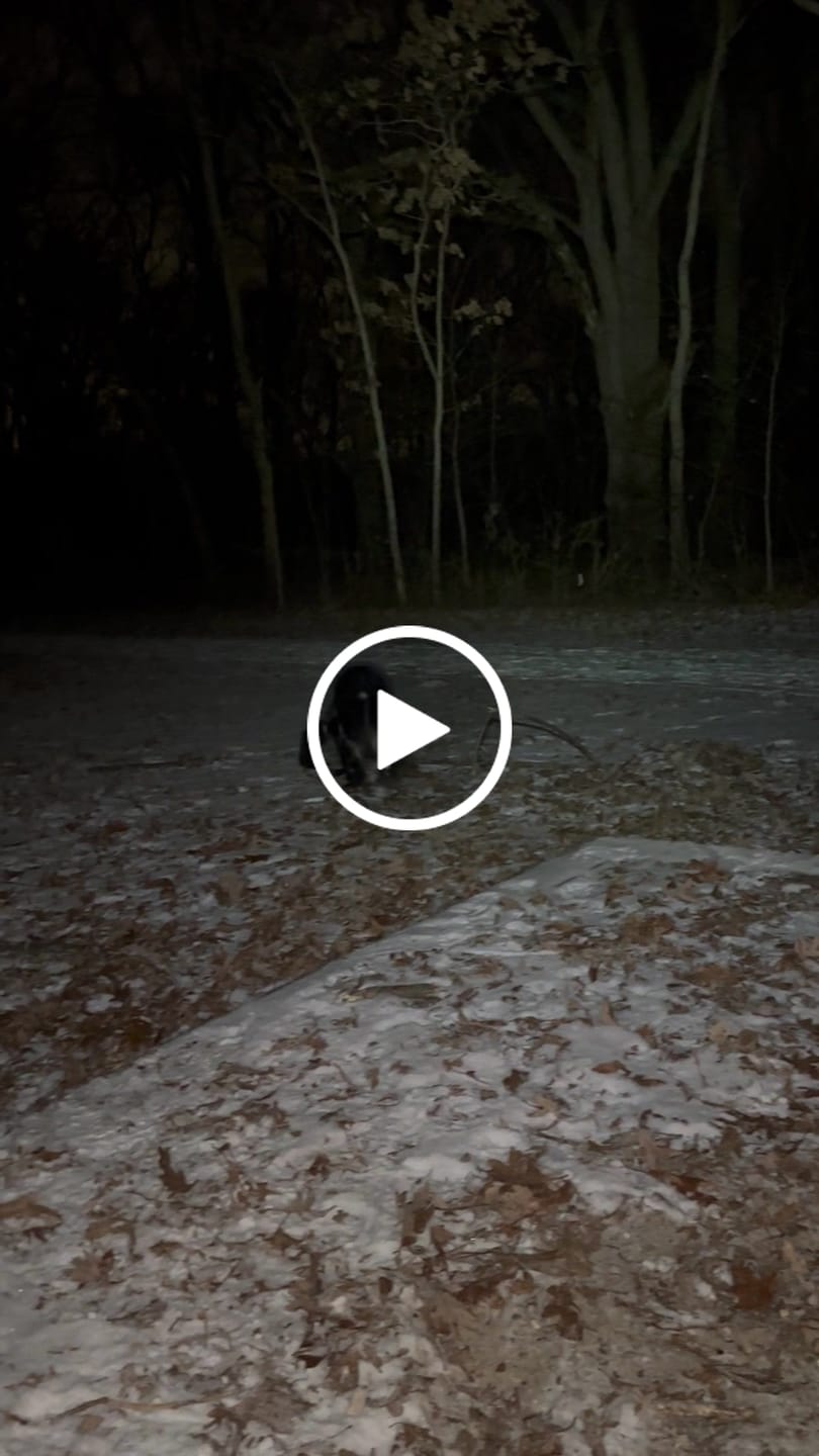 Customer video review of Fire Plugs [CHRISTMAS SALE]