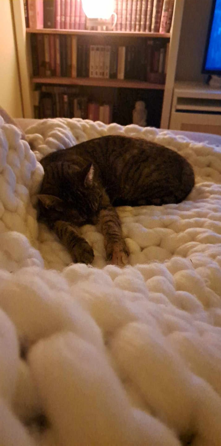 Customer photo review of Couverture tricotée Ultra-Douce