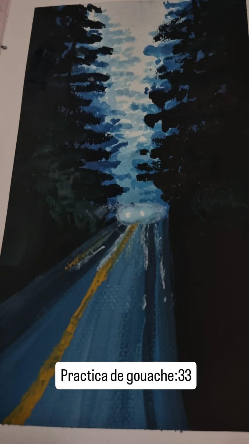 Customer photo review of Himi - Set 48 Gouache Potes 12 g