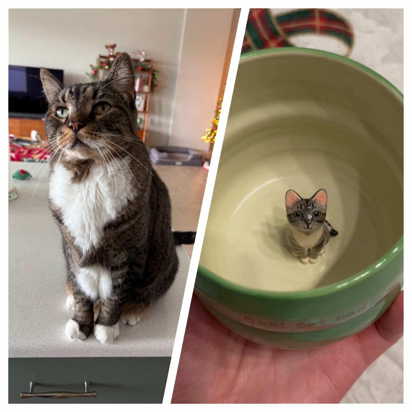 Customer photo review of Handmade Custom Pet's Figure Ceramic Heart Mug