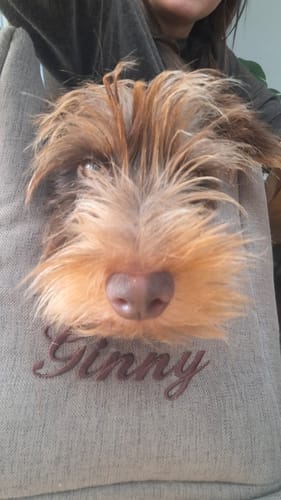 Customer photo review of Gioco Osso