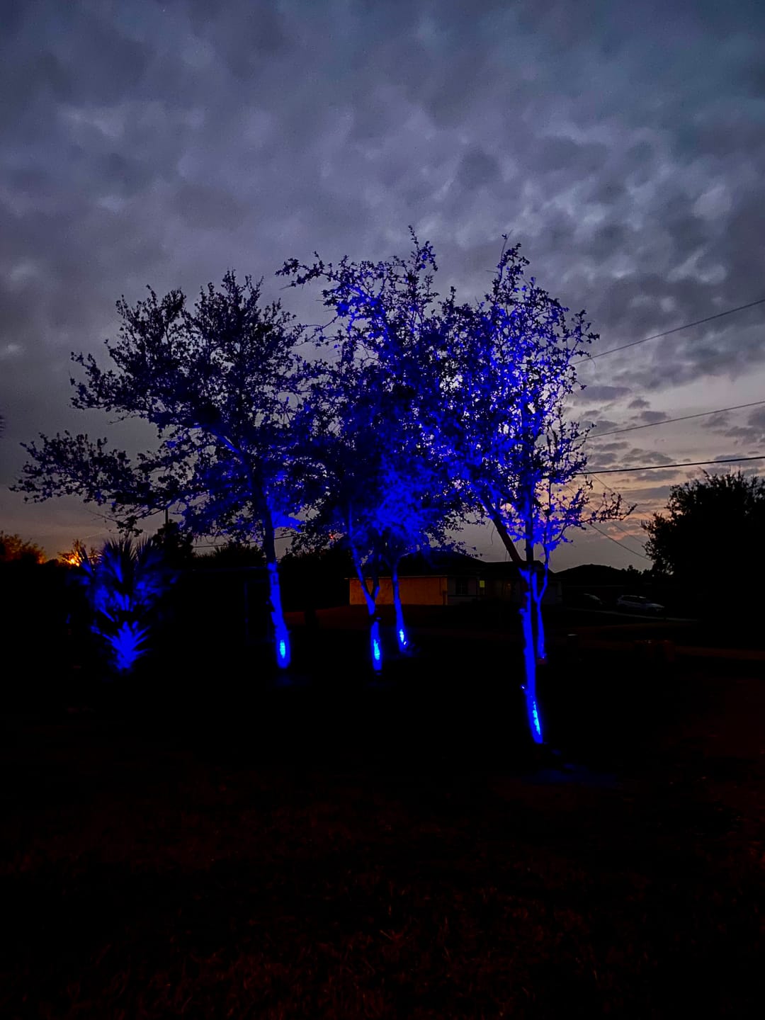 Customer photo review of TSUN 4/7 LEDs Outdoor Solar Spot Lights