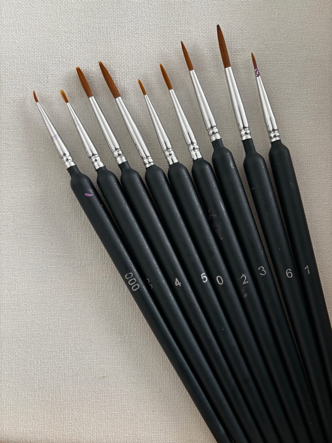 Customer photo review of Professional Detail Brushes (Set Of 9)