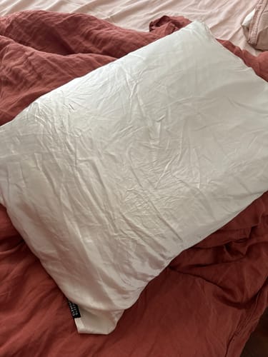 Customer photo review of Organic Silver Ion Silk Pillowcase