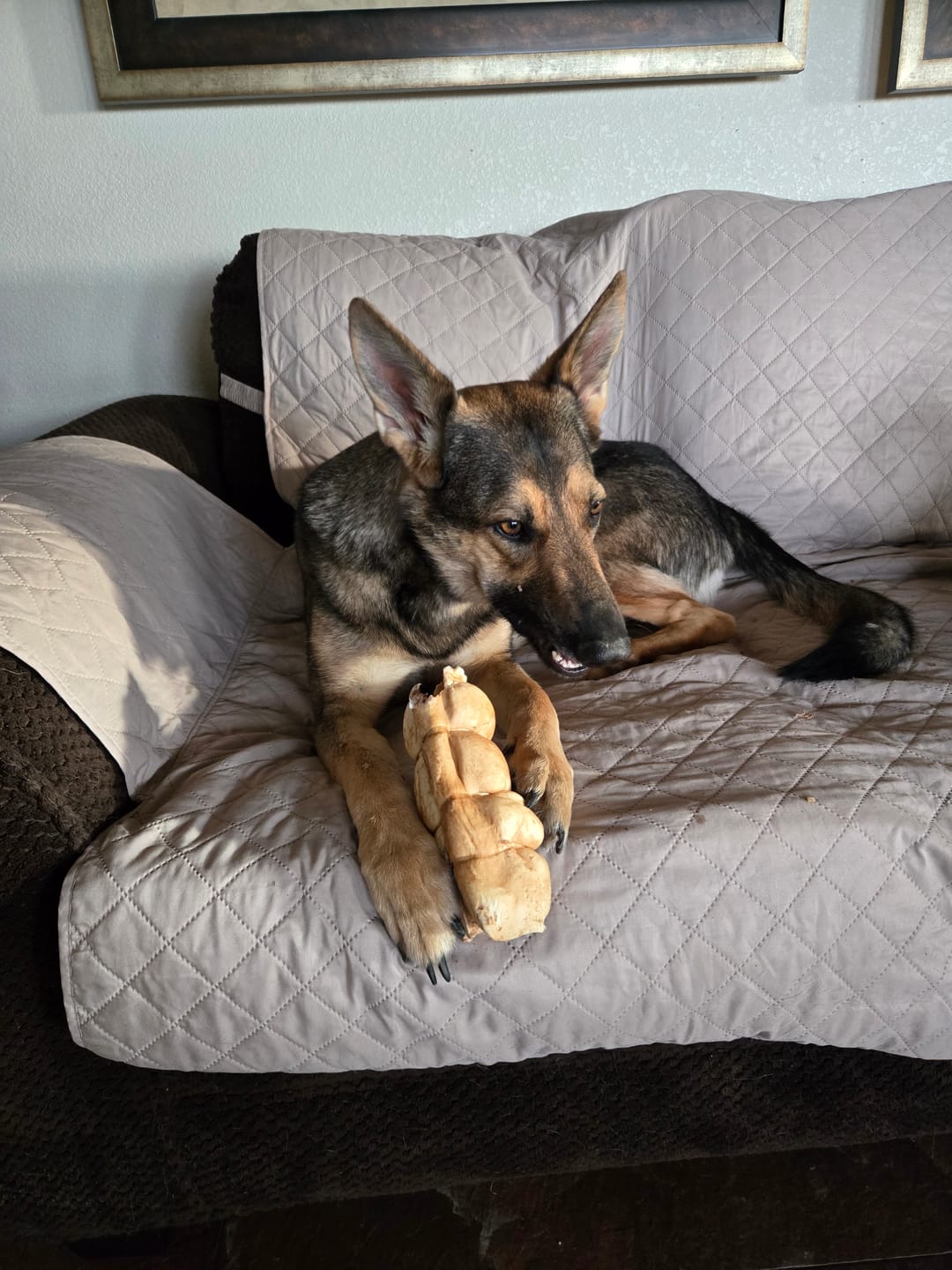 Customer photo review of 10-12 Inch Peanut Butter Cheek Roll