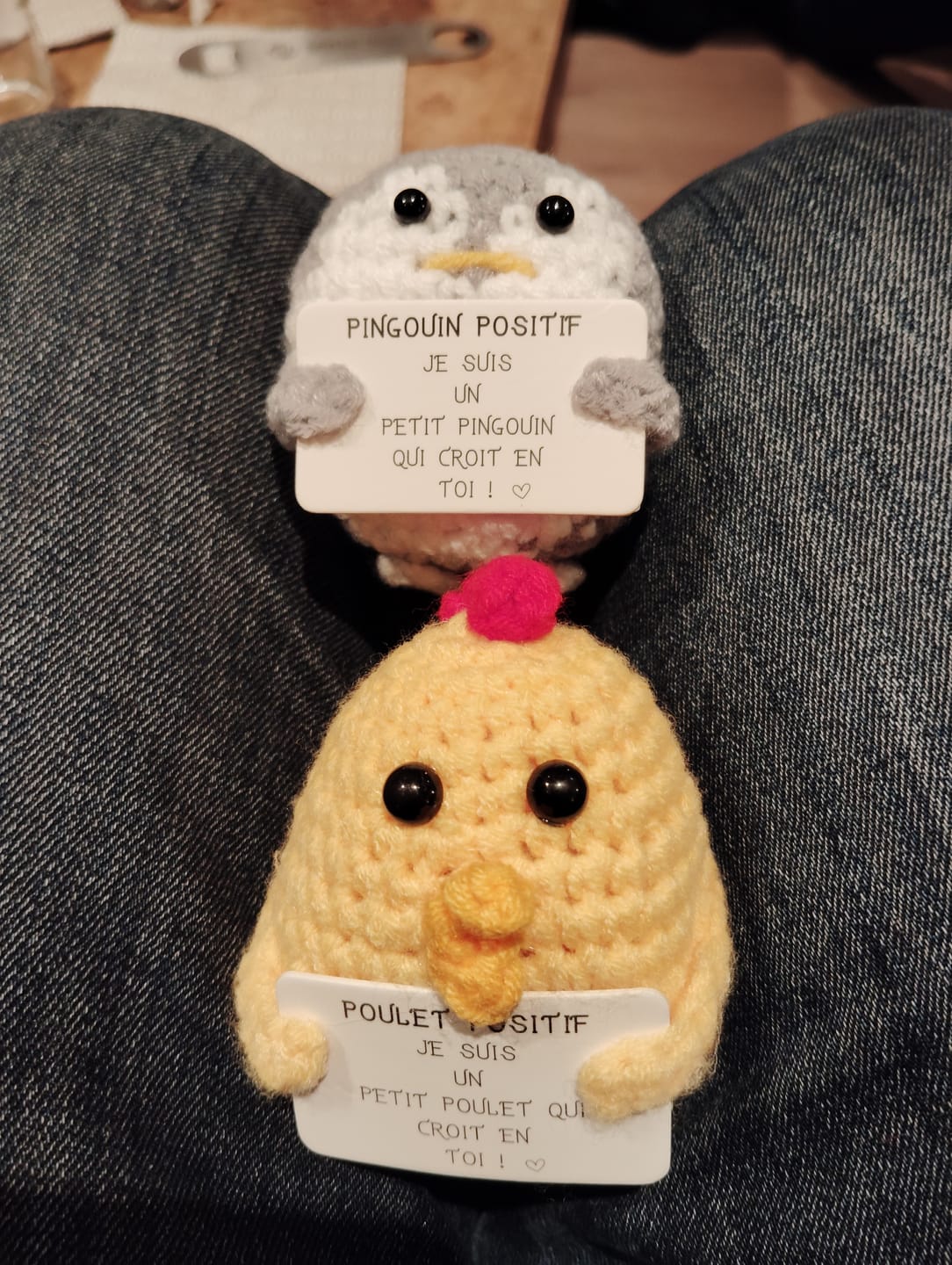 Customer photo review of POULET POSITIF