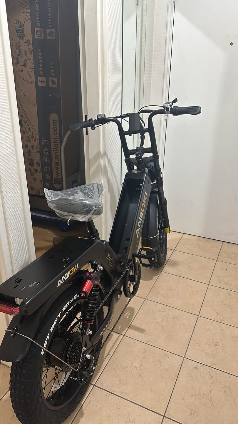 Customer photo review of 2025 Upgrade  AQ177 Pro Max 52V eBike