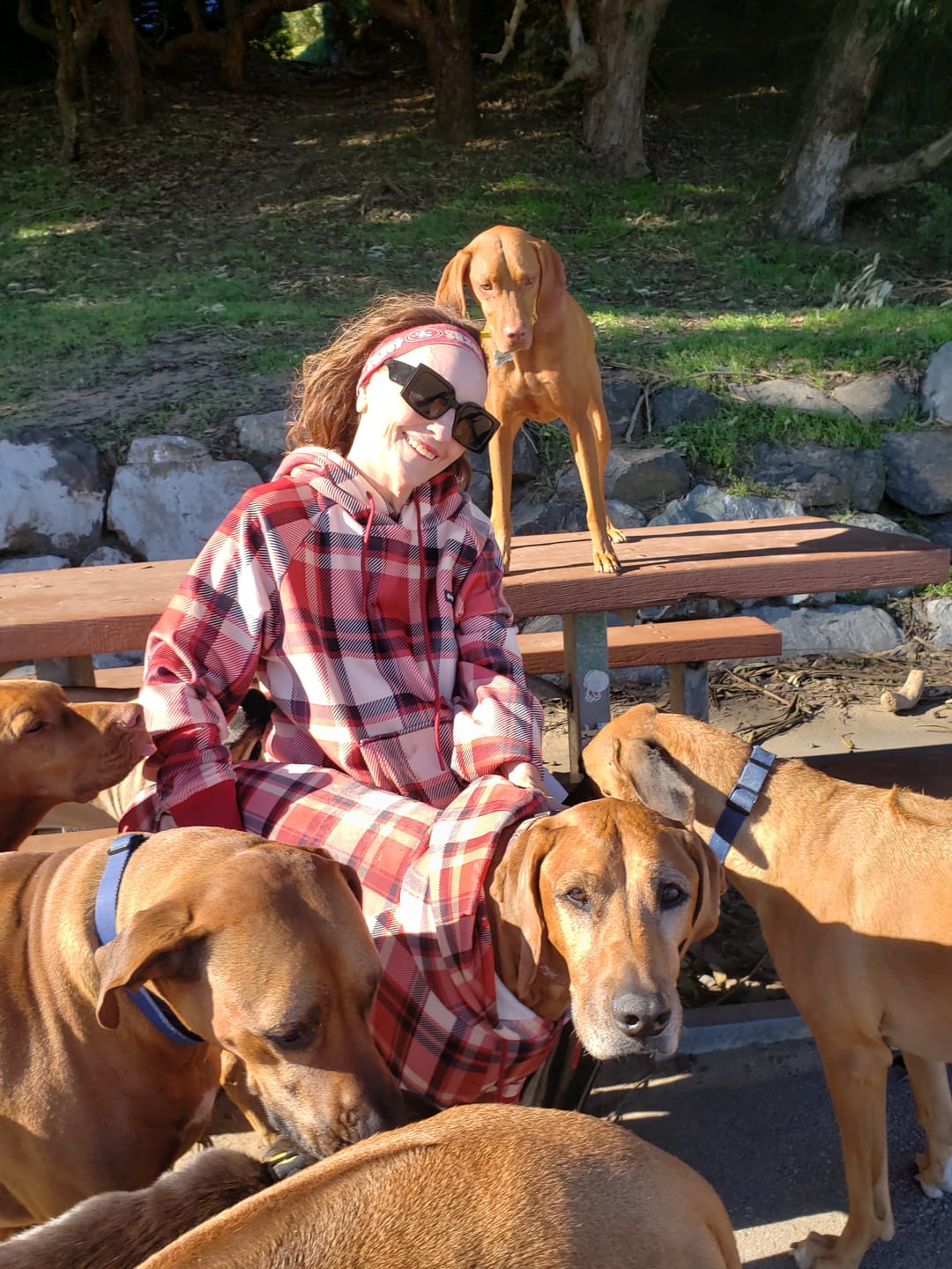 Customer photo review of Red Plaid Human Hoodie