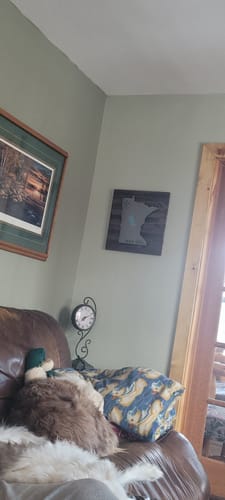 Customer photo review of Minnesota Lake Life