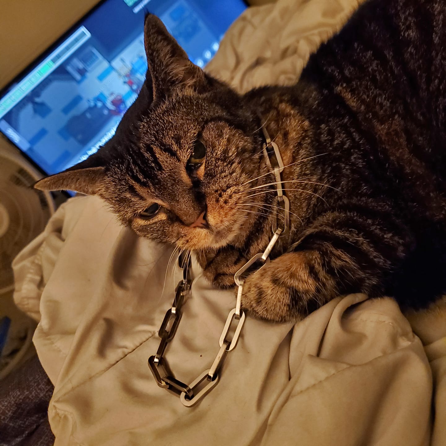 Customer photo review of 10MM LINK CHAIN
