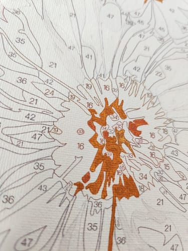 Customer photo review of Wildflower Contrasts