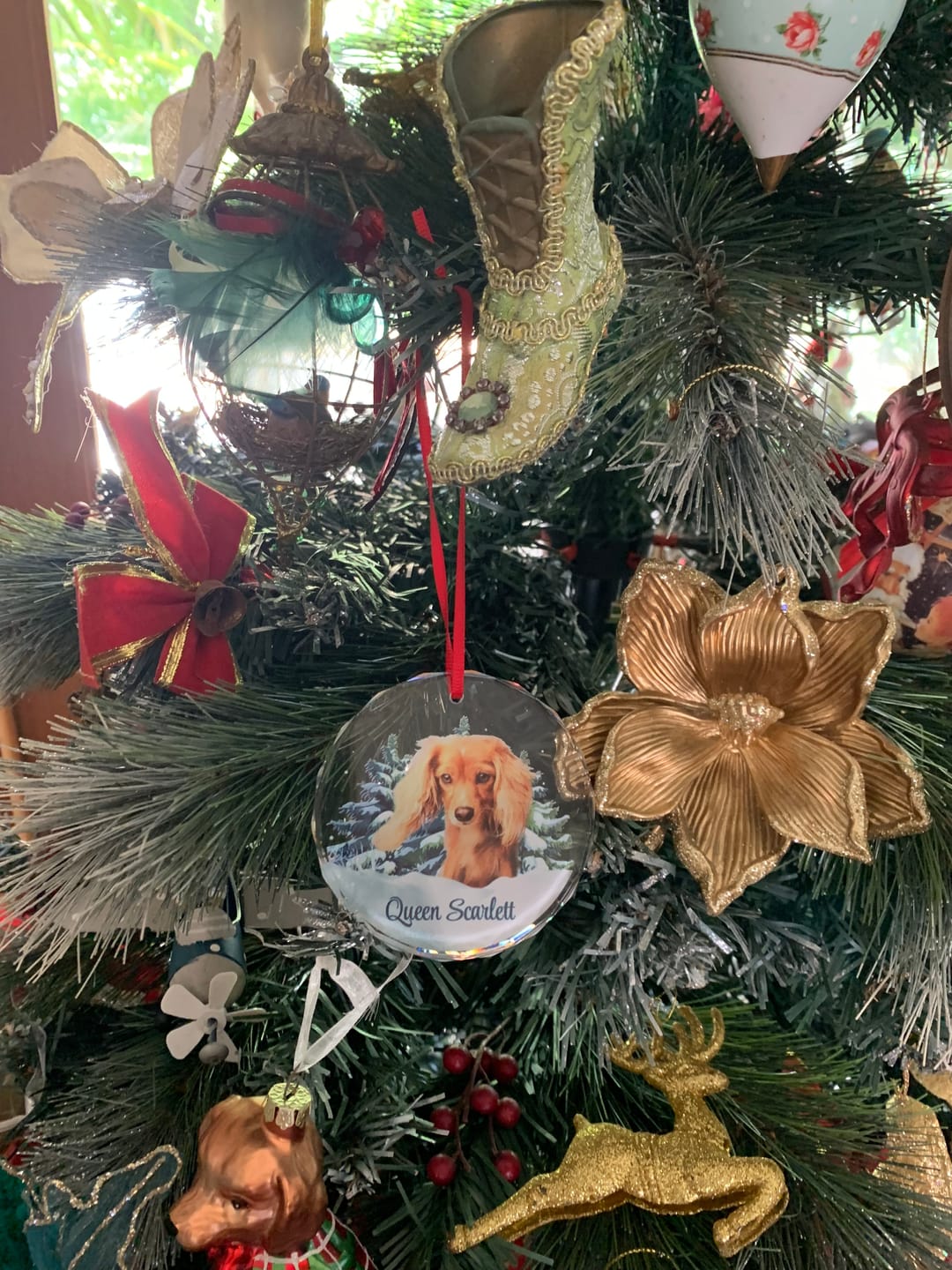 Customer photo review of Personalized Photo Dog Glass Ornament For Christmas