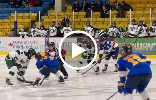 Customer video review of ZP-PRO HOCKEY REFEREE PADDED PANTS