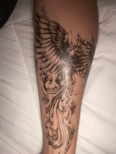 Customer photo review of Phénix 3