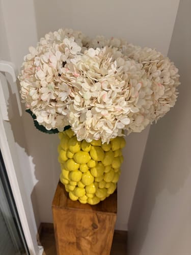 Customer photo review of Grote Zijden Hortensia - Crème