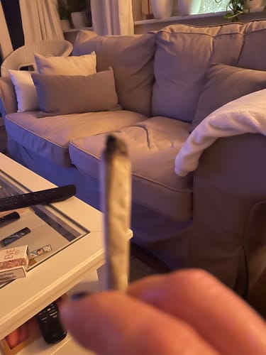 Customer photo review of 🪙 Super Silver Haze 10HC Prerolls - POWER LVL: 4/5