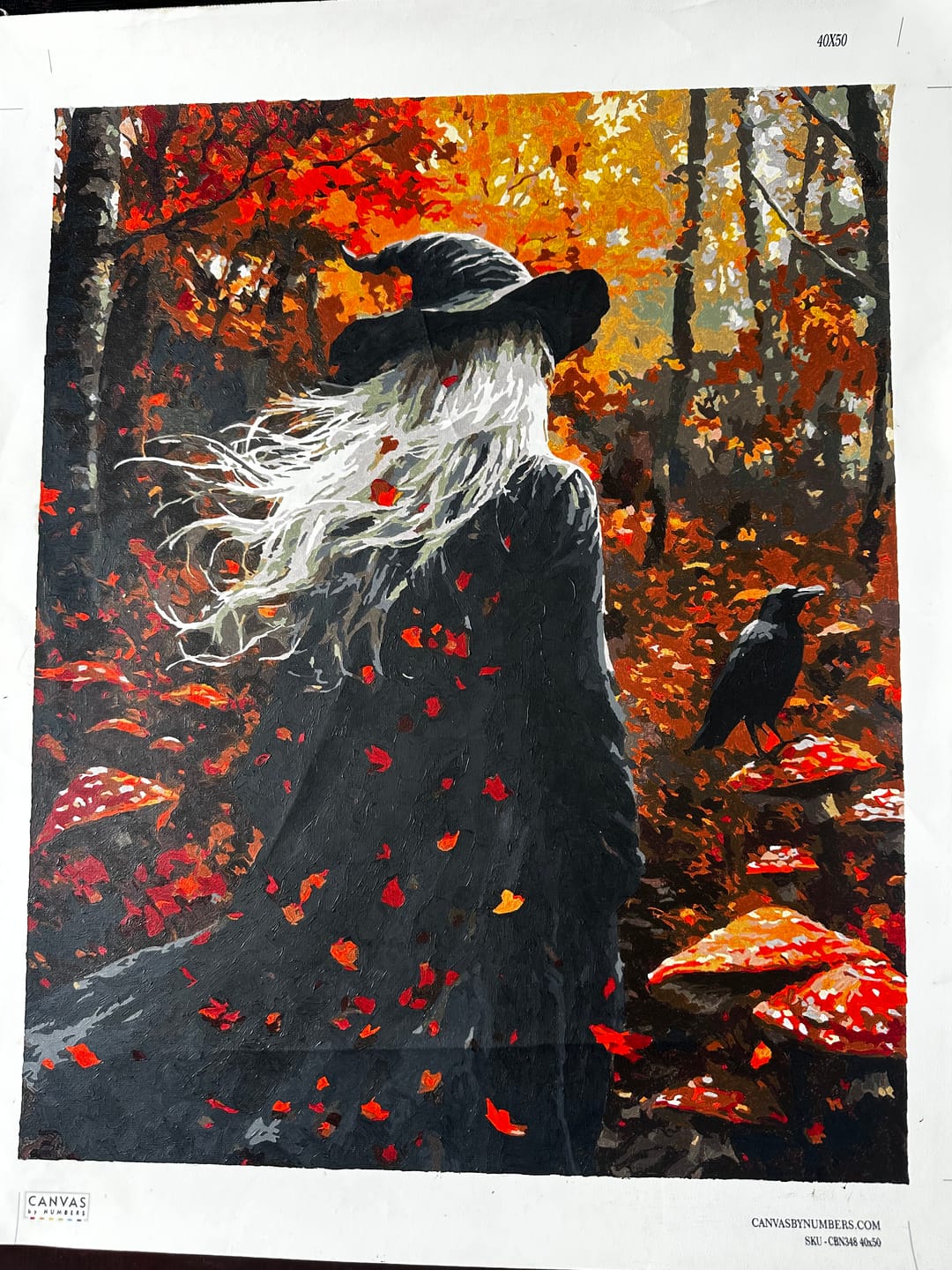 Customer photo review of The Witch's Path - Paint by Numbers
