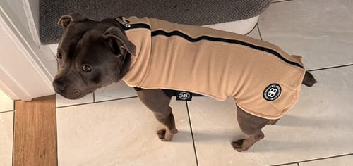 Karen B. review of Dog Fleece With Zip - Tan image 1 out of 1