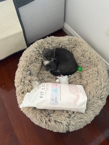 Customer photo review of 3 Month Supply - 1 Cat