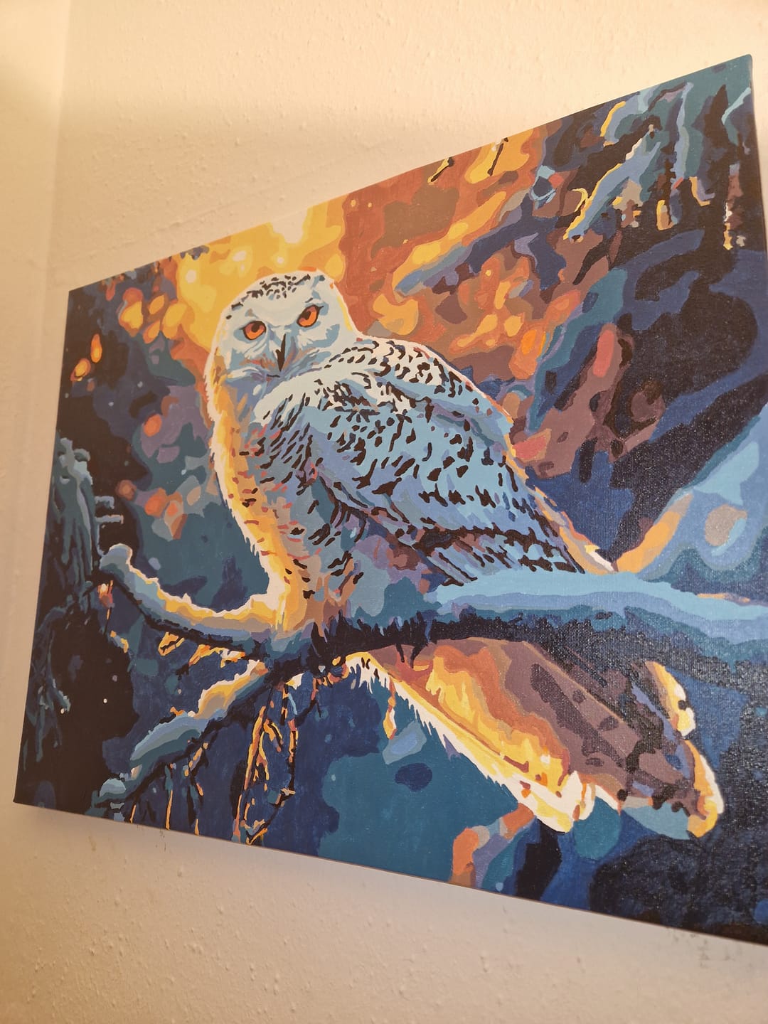 Customer photo review of Wintry Watchful