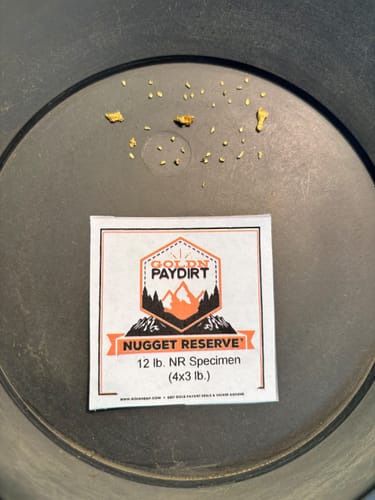 Customer photo review of 3 Lb. NUGGET RESERVE™ ‘Museum Specimen Chase’ - Gold Paydirt
