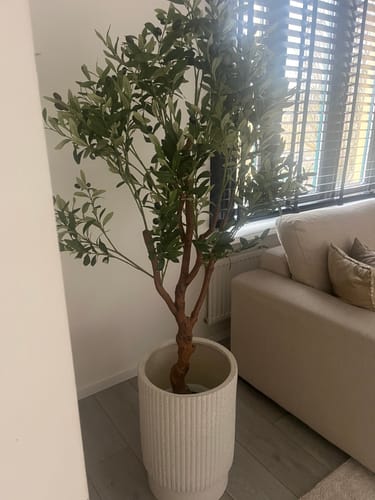 Customer photo review of Kunst Olijfboom 150cm (lichte stam)
