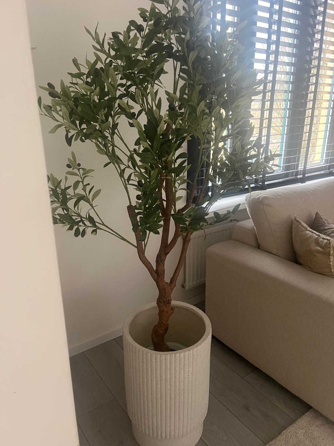 Customer photo review of Kunst Olijfboom 150cm (lichte stam)