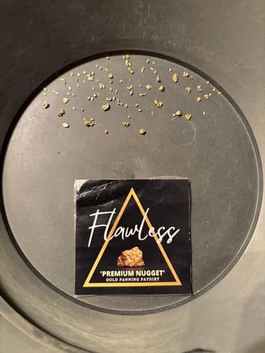 Customer photo review of Flawless 'PREMIUM NUGGET' - Gold Panning Paydirt