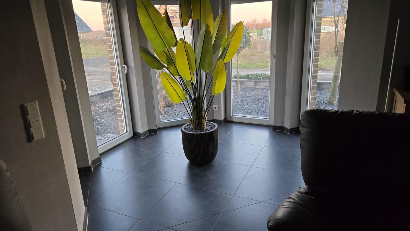 Customer photo review of Strelitzie Kunstpflanze 180cm