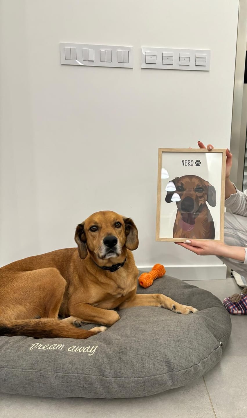 Customer photo review of Quadro Retrato Colorido (1 Animal)