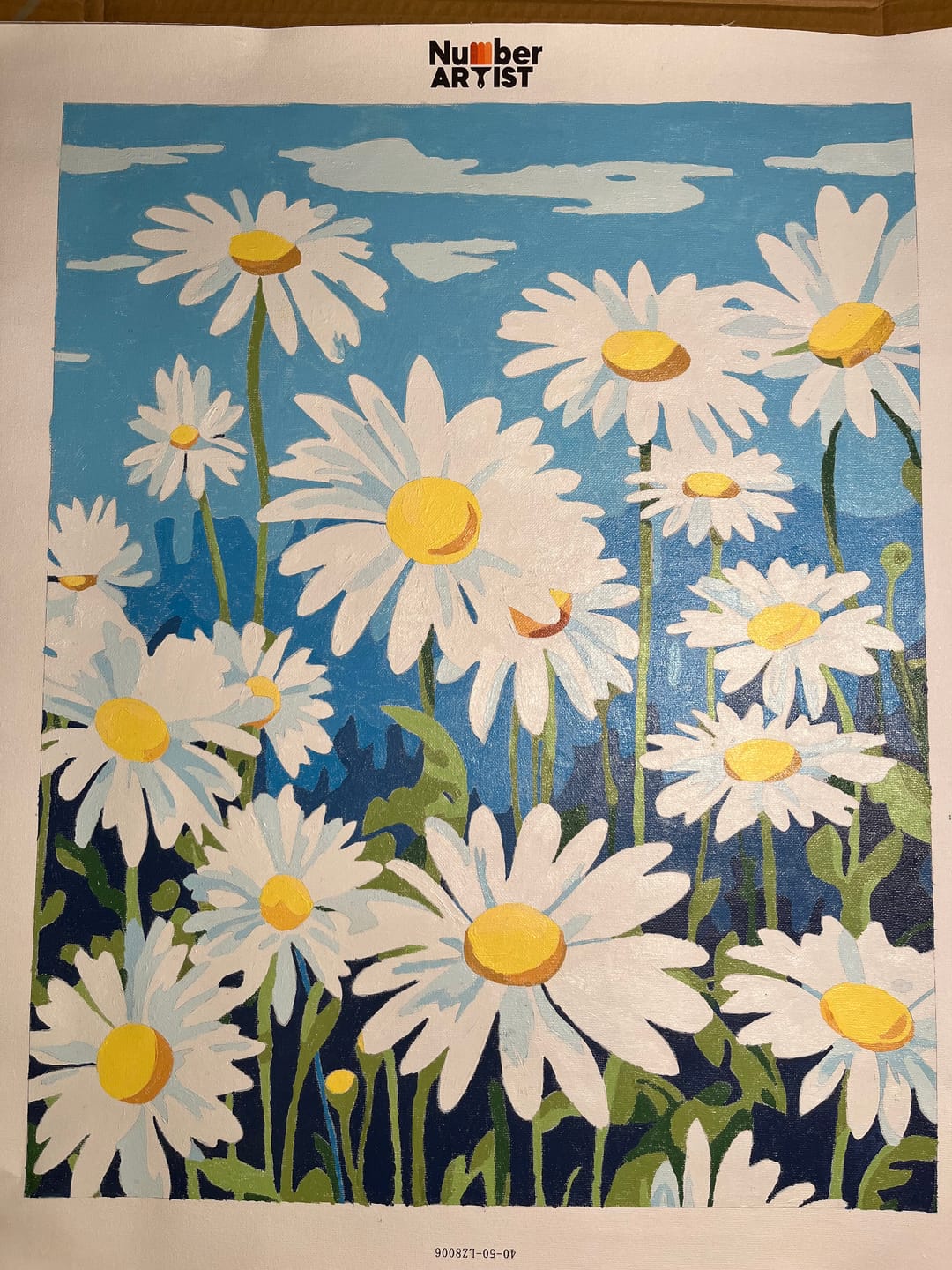Customer photo review of Elysian Daisy Field