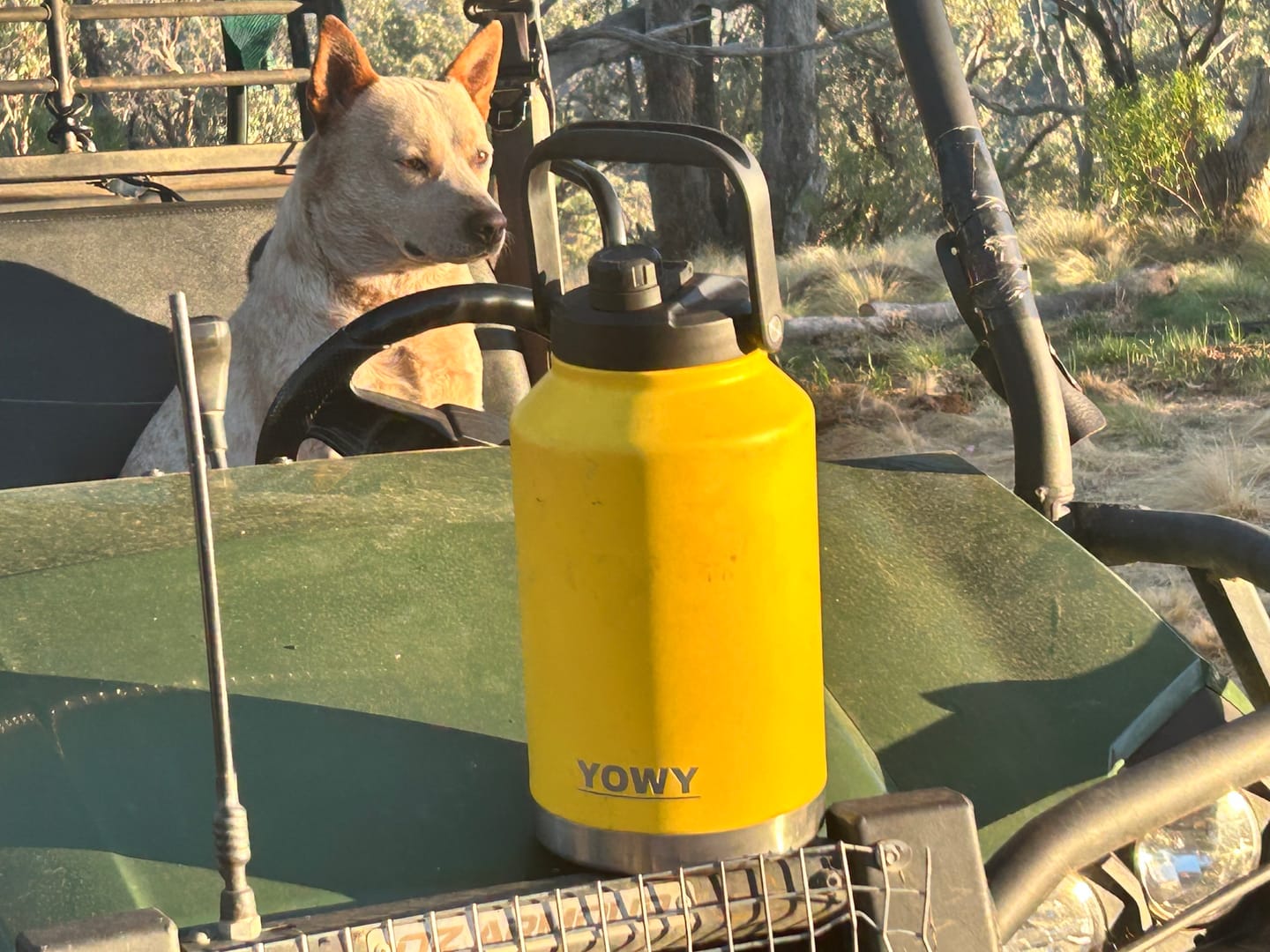 Customer photo review of 5.8L Yowy Watercan
