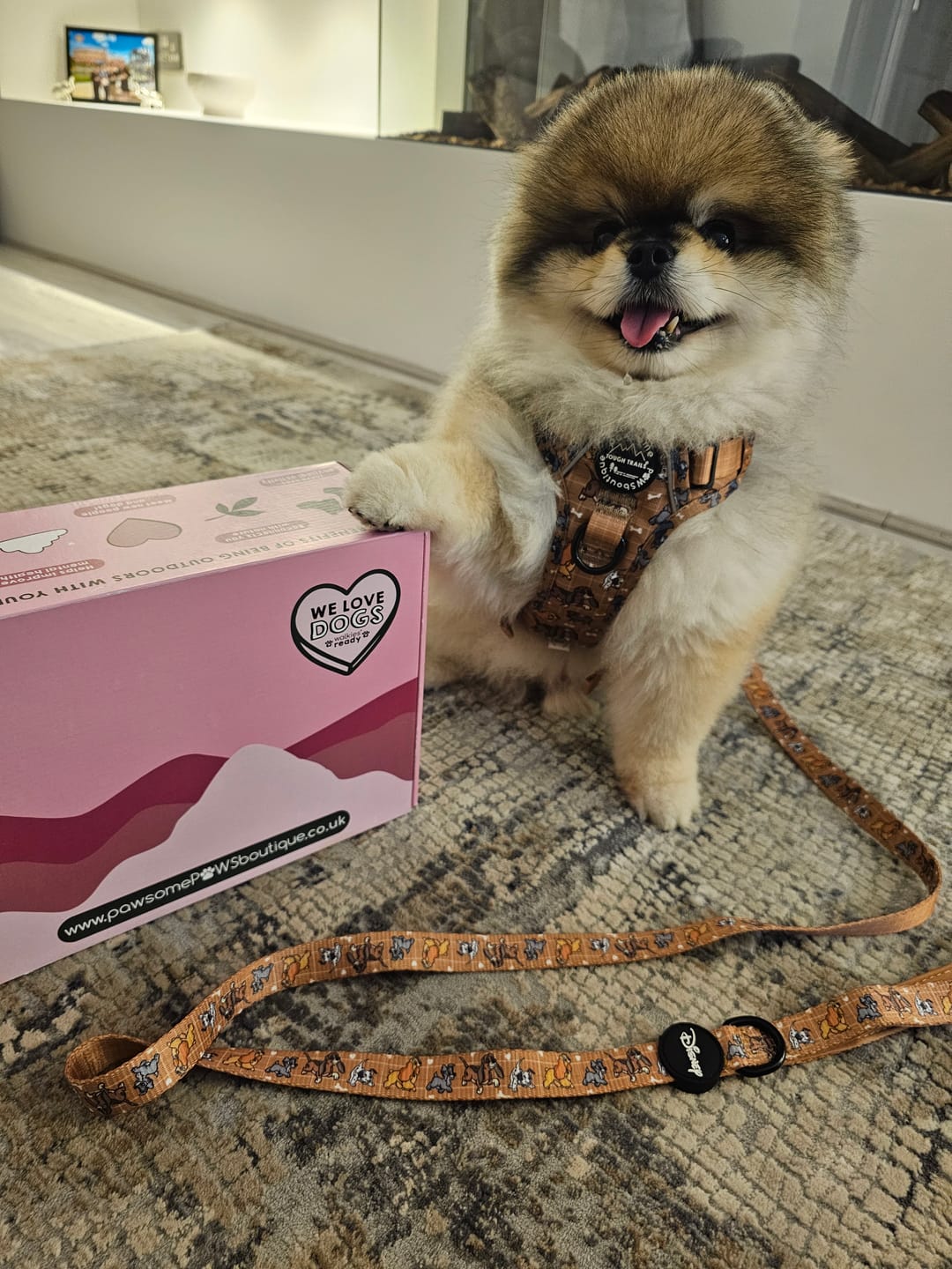 Customer photo review of Disney© Tough Trails™ Harness - Disney Dogs