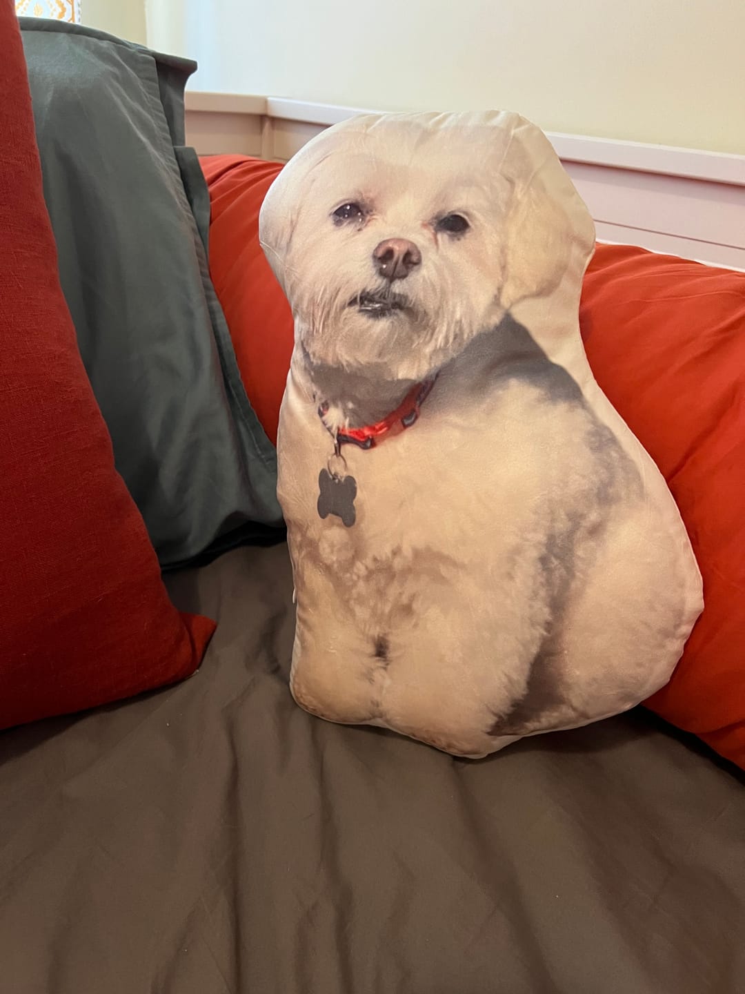 Customer photo review of Custom Shaped Pillow with Loved One Picture of Person/Pet Personalized 3d Photo Pillow