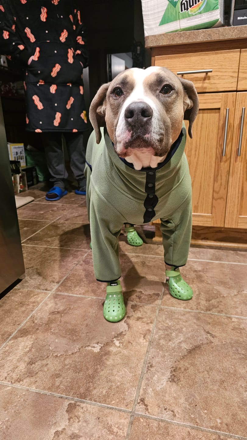Customer photo review of NEW Fleece Pull-Over