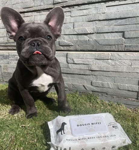 Customer photo review of Premium Grooming Set