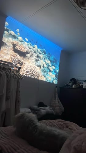 Customer photo review of MovieHub™ Deluxe 4K HD Gaming Projector + FREE Projector Screen
