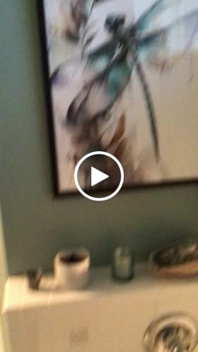 Customer video review of WATERCOLOR DRAGONFLY
